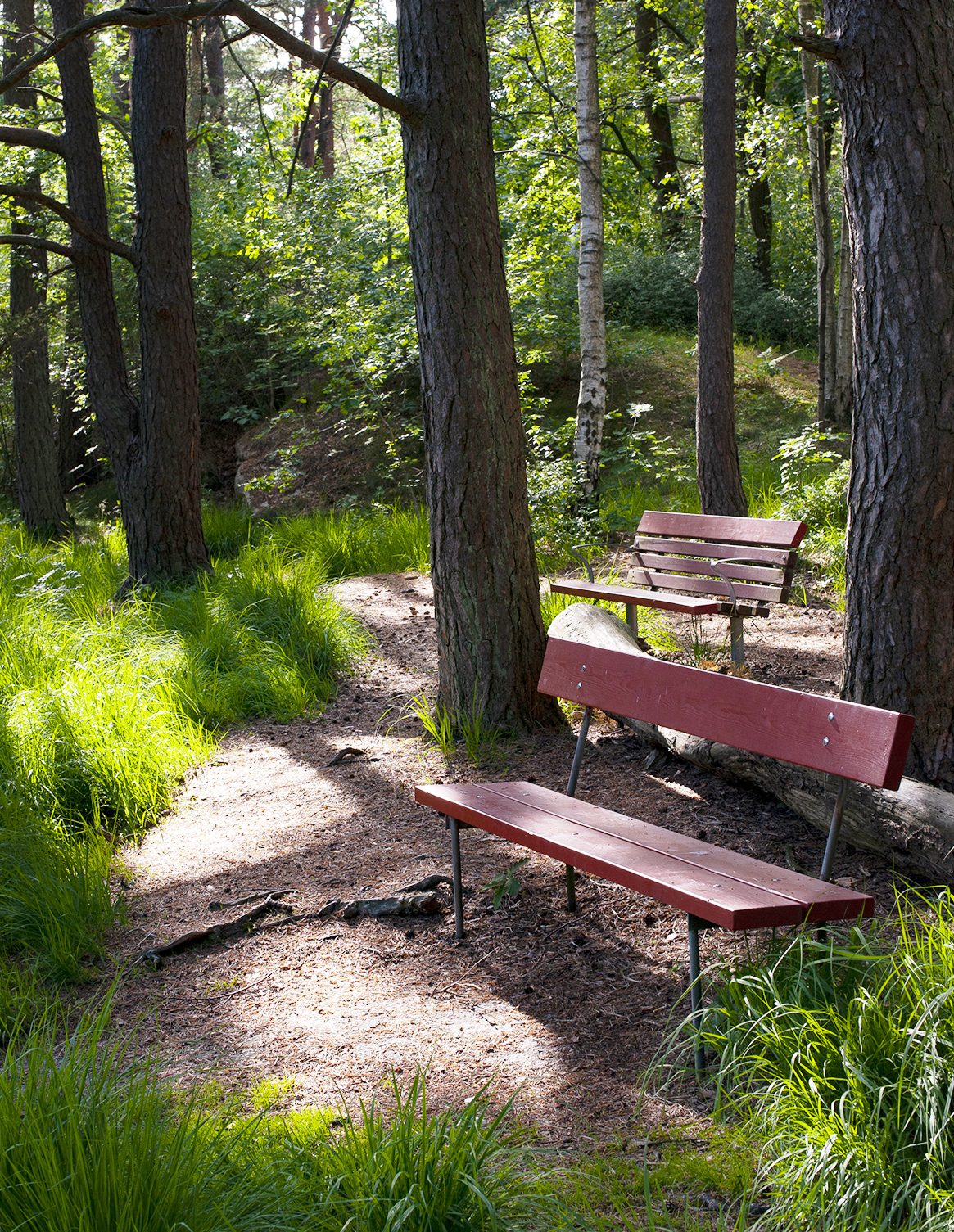 Parkbänkar vid Torpadammen